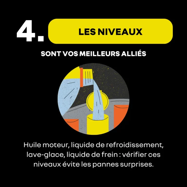 niveaux